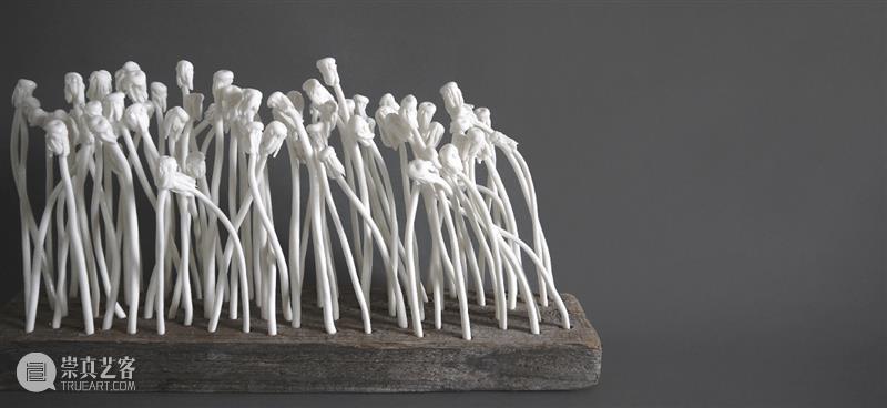 PAM新展 | “以花之名”,八月绽放 PAM PAM 新展 Flower Museum Shanghai 繁花 此处 国际 当代 艺术家群 崇真艺客